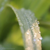 /album/galerie-photos/frida-dumont-img-8171-2-jpg/